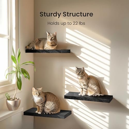 floating shelves