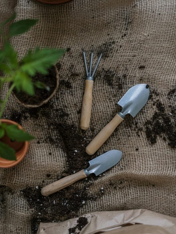 Lawn & Garden